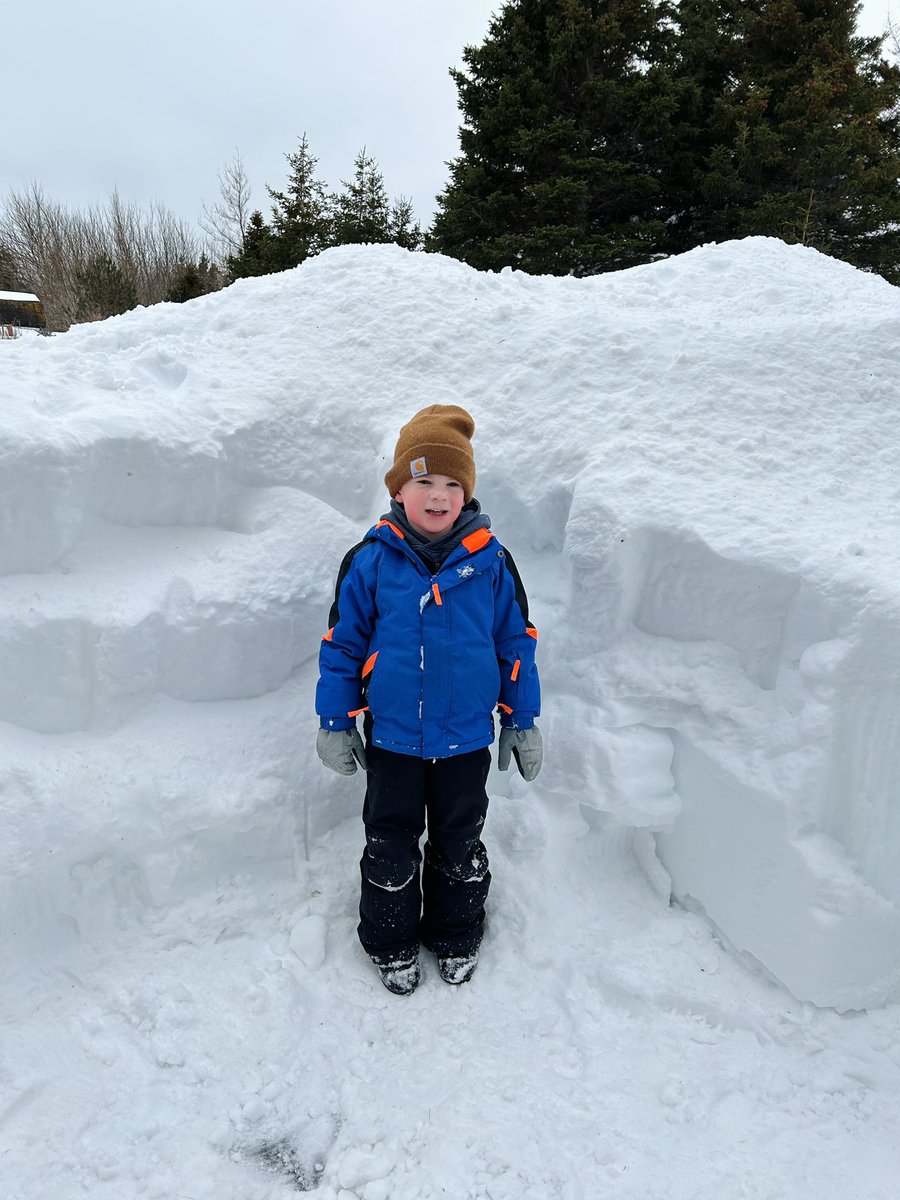 bish_steph's tweet photo. This one isn’t complaining about the 80cm of snow! ❄️
#coleyspoint #nlwx #showyourweather https://t.co/bhosxPFDEo