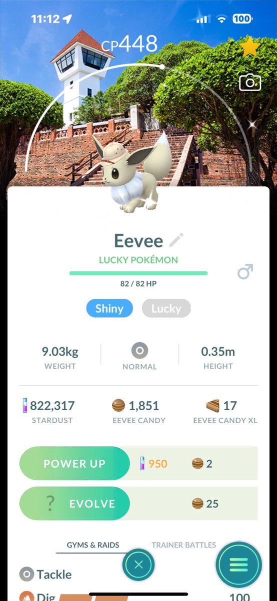 Lucky with background shiny eevee with safari hat
