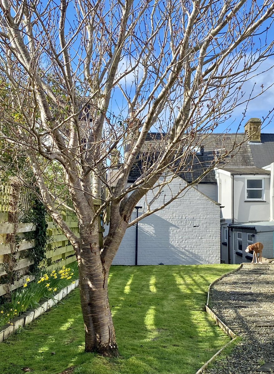 TinaP 2020 tweet media