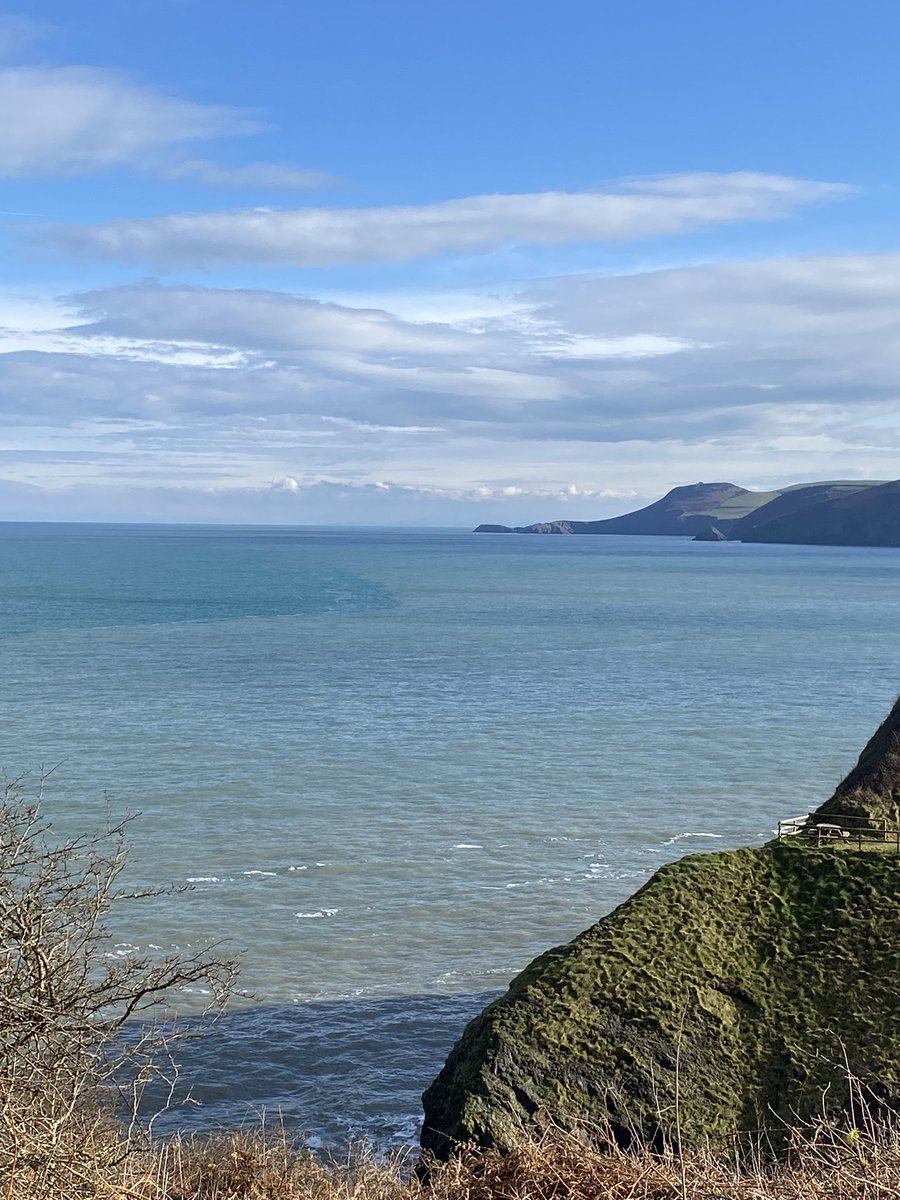 TinaP 2020 tweet media