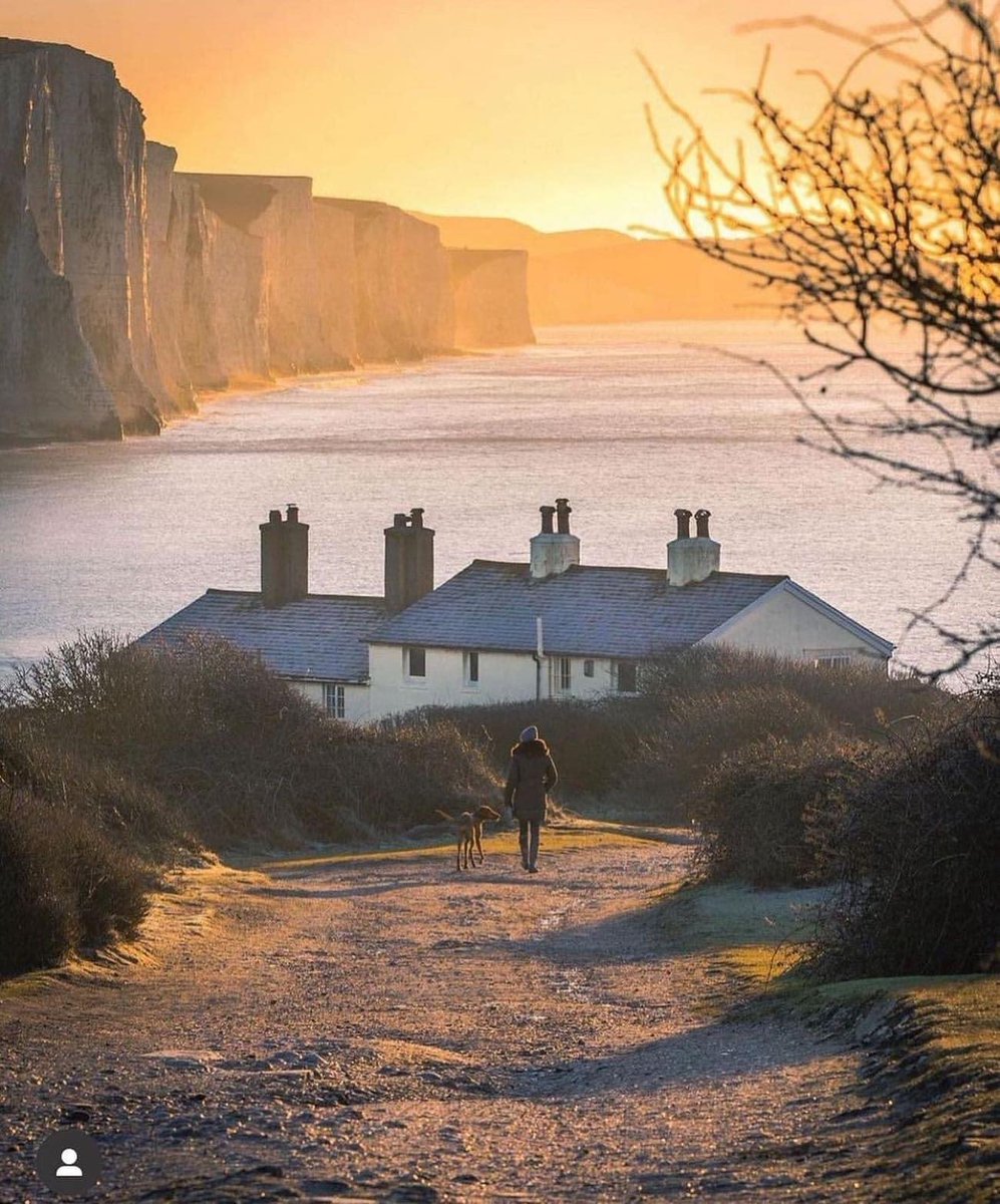 𝐌𝐚𝐭𝐭 𝐏𝐢𝐧𝐧𝐞𝐫 tweet media