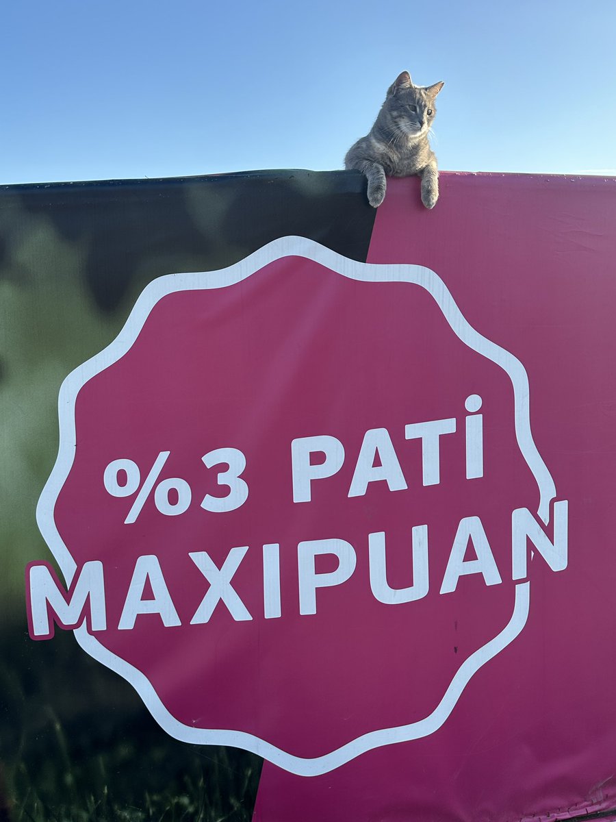 erdoganseda's tweet photo. Birileri reklam yüzü olmuş 😻@isbankasi @MaximumKart https://t.co/JN5gn66p4Y