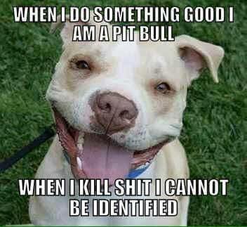 BrownCraig44264's tweet photo. @dad220 @ProtectOurPets2 https://t.co/8IcswTGJGb