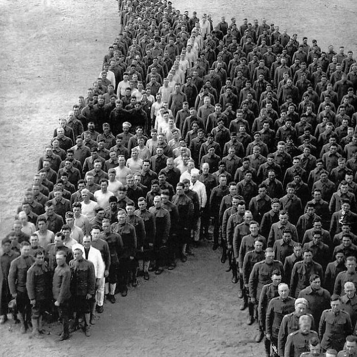 tusmedios's tweet photo. 8. Soldados de la Primera Guerra Mundial rinden homenaje a los millones de burros, caballos y mulas que murieron en la guerra https://t.co/iKfDysSv7f