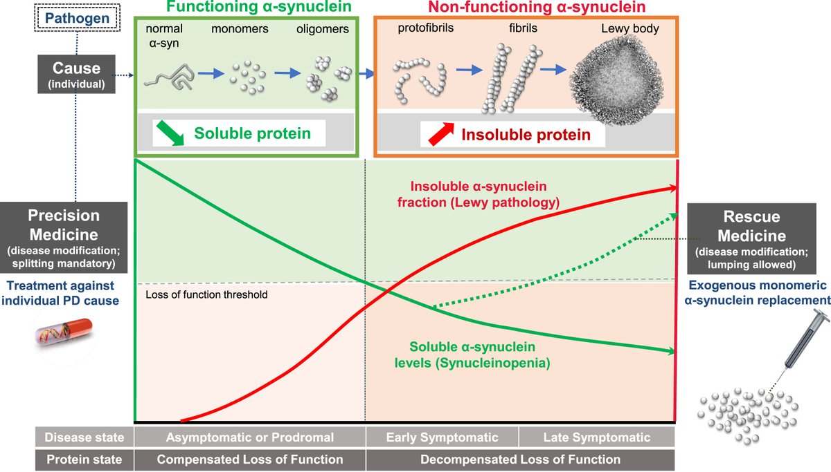 The Science of Parkinson's tweet media