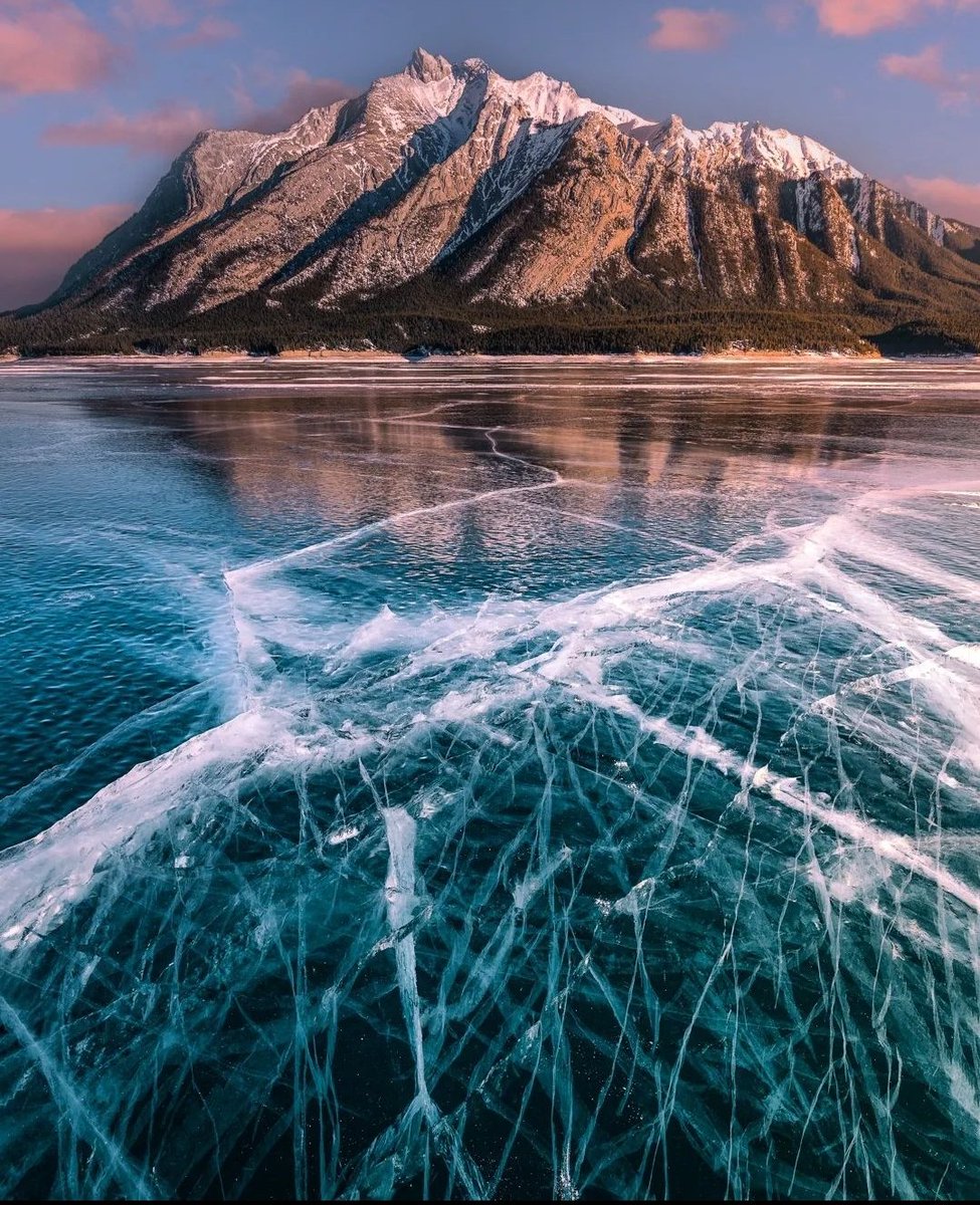 Dan the Man tweet media