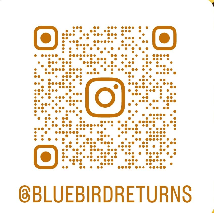 If you have photos or video indeed memories from the past of the #Bluebird #K7 and #DonaldCampbell do please tag @ruskin_the & us On insta tag @ruskin_museum & @bluebirdreturns @K7Bluebird The #BluebirdLegacy🇬🇧 lives on! It belongs to all of us inspiring #WorldSpeedRecords