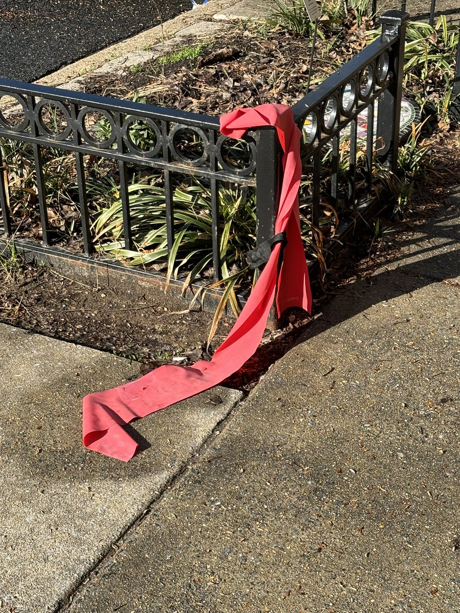 Mariah J. Hansen (Callas), PT, DPT, NCS tweet media