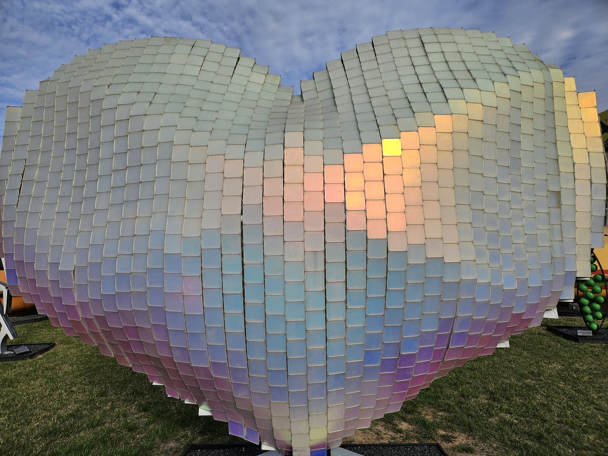 Sandy Neilsen tweet media