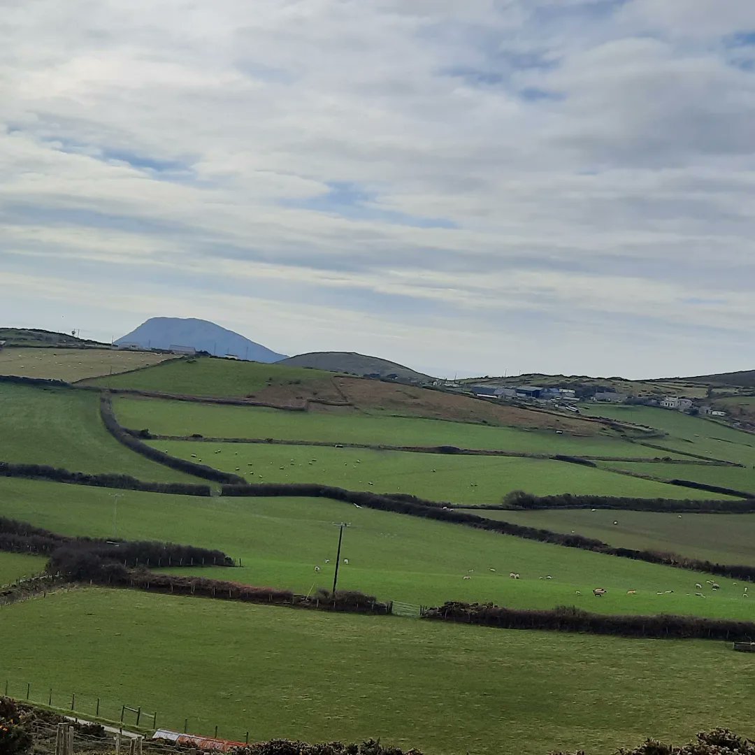 foel_r's tweet photo. Bore braf #Uwchmynydd https://t.co/JxjeaCtK5w