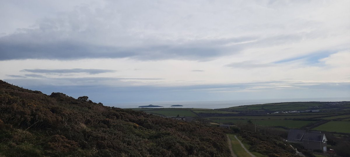 foel_r's tweet photo. Bore braf #Uwchmynydd https://t.co/JxjeaCtK5w