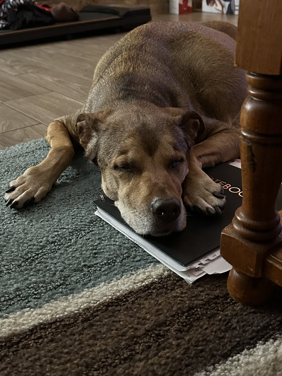 sean (now MARRIED!) tweet media