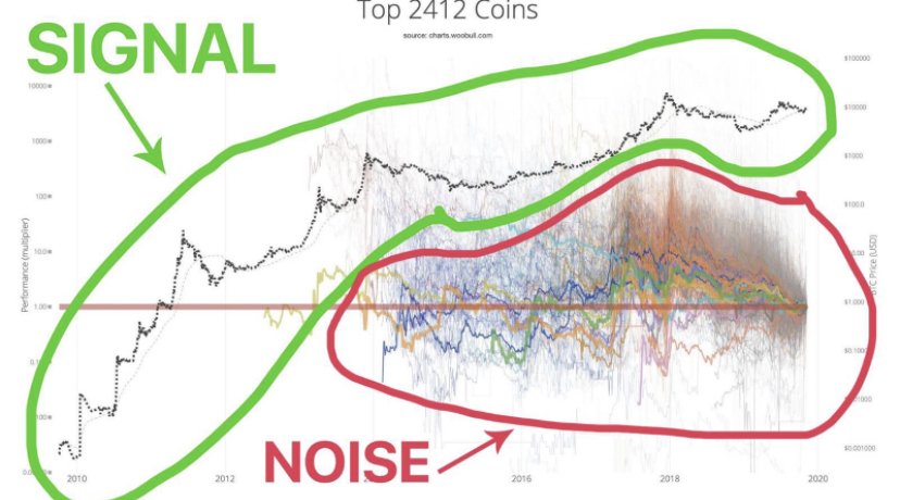 People wondering why altcoins don't pump 2 consecutive bullmarkets.