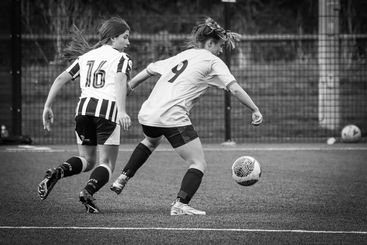 Amelie Clarkson tweet media