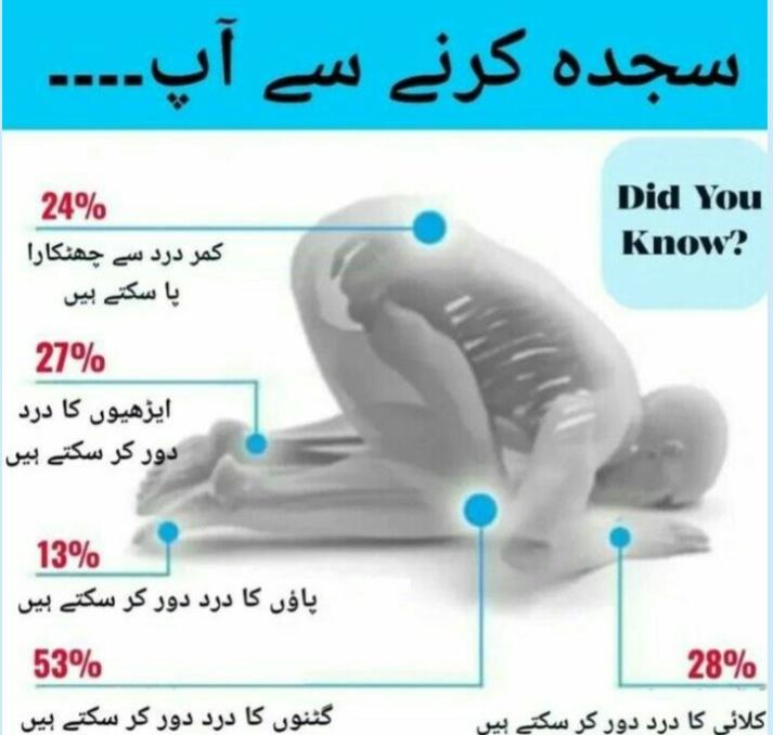 Did You know?
سجدہ کرنے سے اپ۔۔۔۔۔۔۔۔۔۔۔۔۔۔۔۔