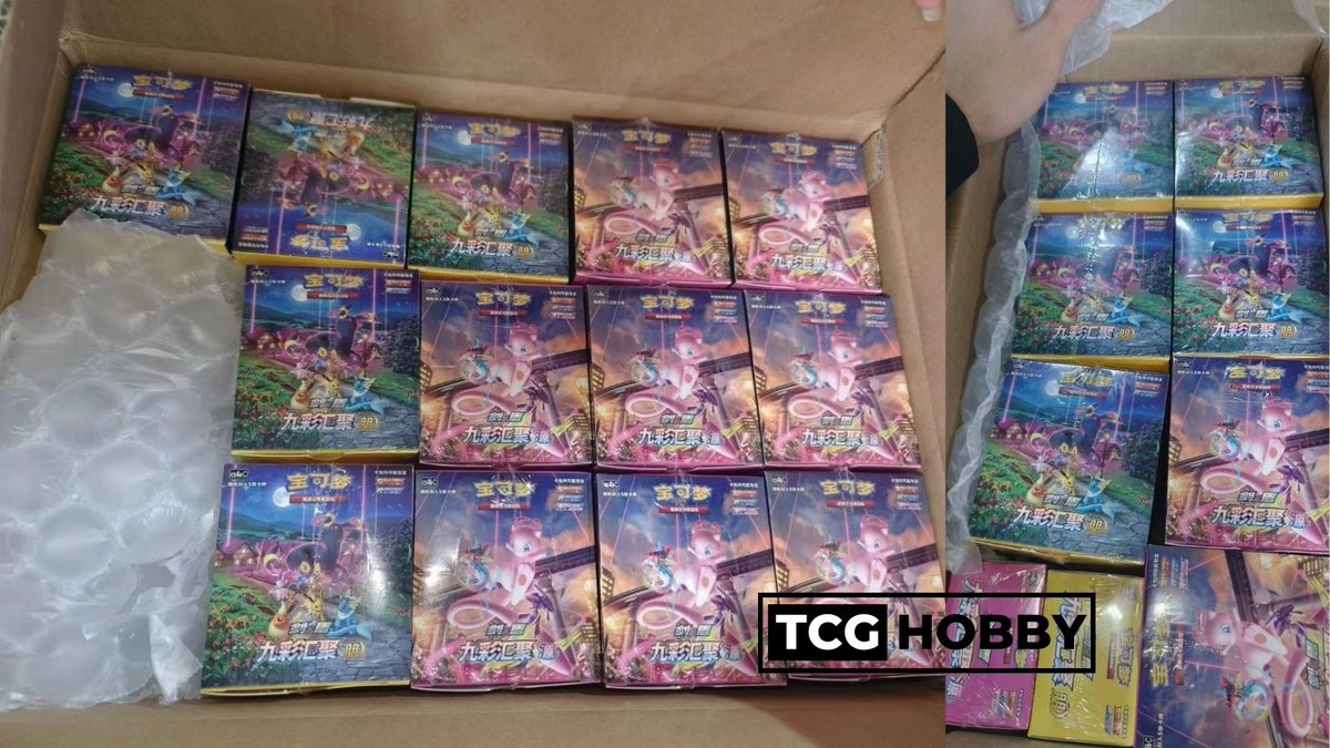 TCGHOBBY tweet media