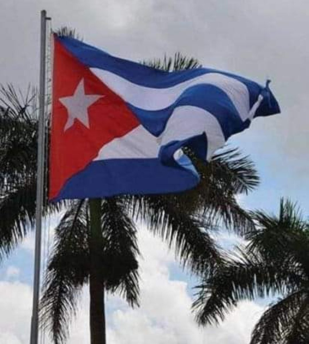 #tuluzesmipasion
#CubaViveyVence
Yennier