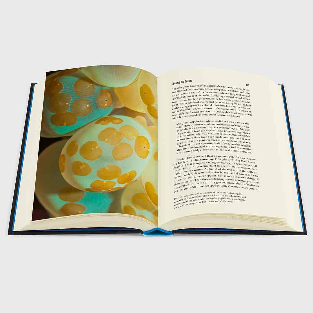 The Panda’s Thumb by Stephen Jay Gould is new in our Spring Collection. Folio's edition features 24 pages of colour images that depict life on Earth in all its variety along with a striking binding and an exclusive introduction by author <a href="/SteveBrusatte/">Steve Brusatte</a>. foliosociety.com/the-panda-s-th…