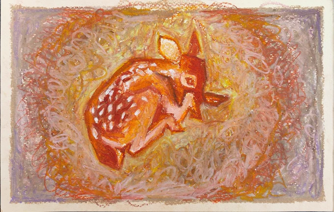 little fawn 
