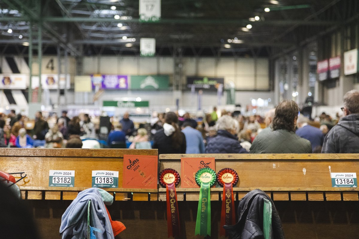 If you'd like to keep up to date with all of the latest news and results from Crufts 2024 you should take a look at their new results hub from which it is easy to navigate to your preferred area - crufts.org.uk/dog-exhibitors…