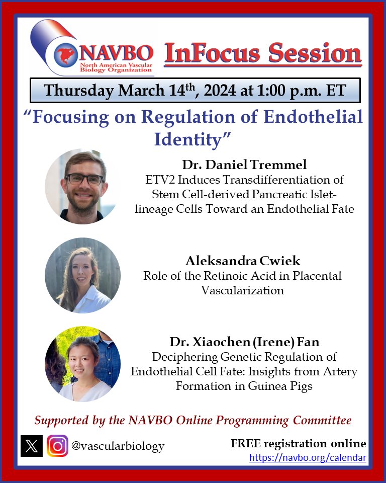 Tomorrow!! Join us for the #InFocusSession on Regulation of Endothelial Identity!! 🫸🫷💪😁 Register and details👉 conta.cc/3SJZ0k0