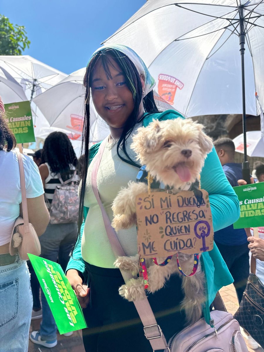 rd3causales's tweet photo. ¡ATENCIÓN! La dueña de esta perrita exige que las mujeres no tengan miedo de si llegarán a sus casas vivas simplemente por ser mujeres. Reclamamos respeto, justicia y dignidad. No más violencia contra las mujeres. #SumaTuPoder #8M #8MLoPersonalEsPolitico https://t.co/bHZTTENi3Y