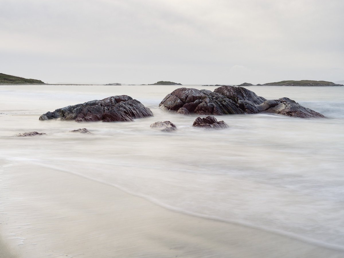 PJ Rankin tweet media