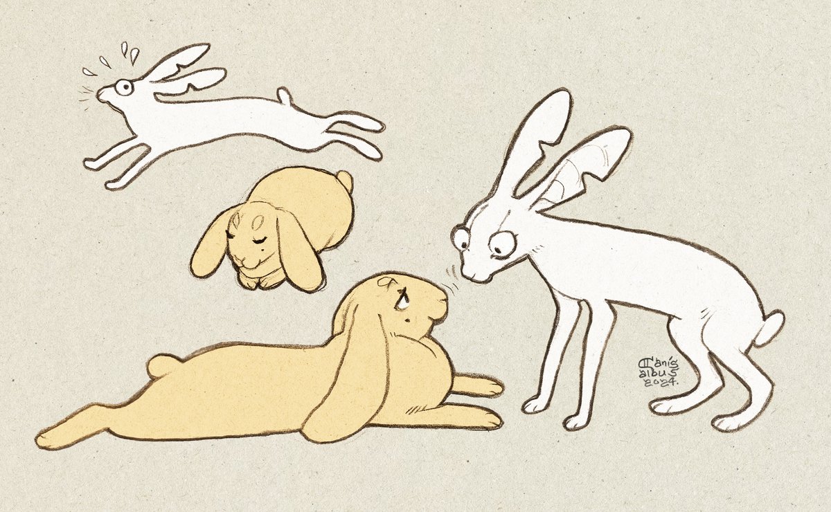 Quick white hare jumps over the round rabbit.