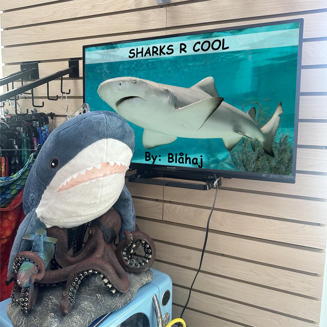 At SOS Diving, we dedicate ourselves to ongoing education of the aquatic world and the marine life that call the oceans home. Today our shark expert, Blåhaj the Shark, is leading our employees in a lecture on the Ocean's most misunderstood creature.
---
#scubadiving #diveshop