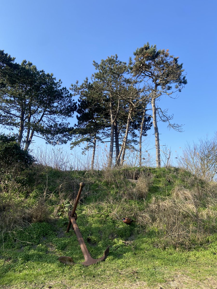 Beautiful weather in <a href="/Schierfestival/">Schiermonnikoogfestival</a> !🫶🏻