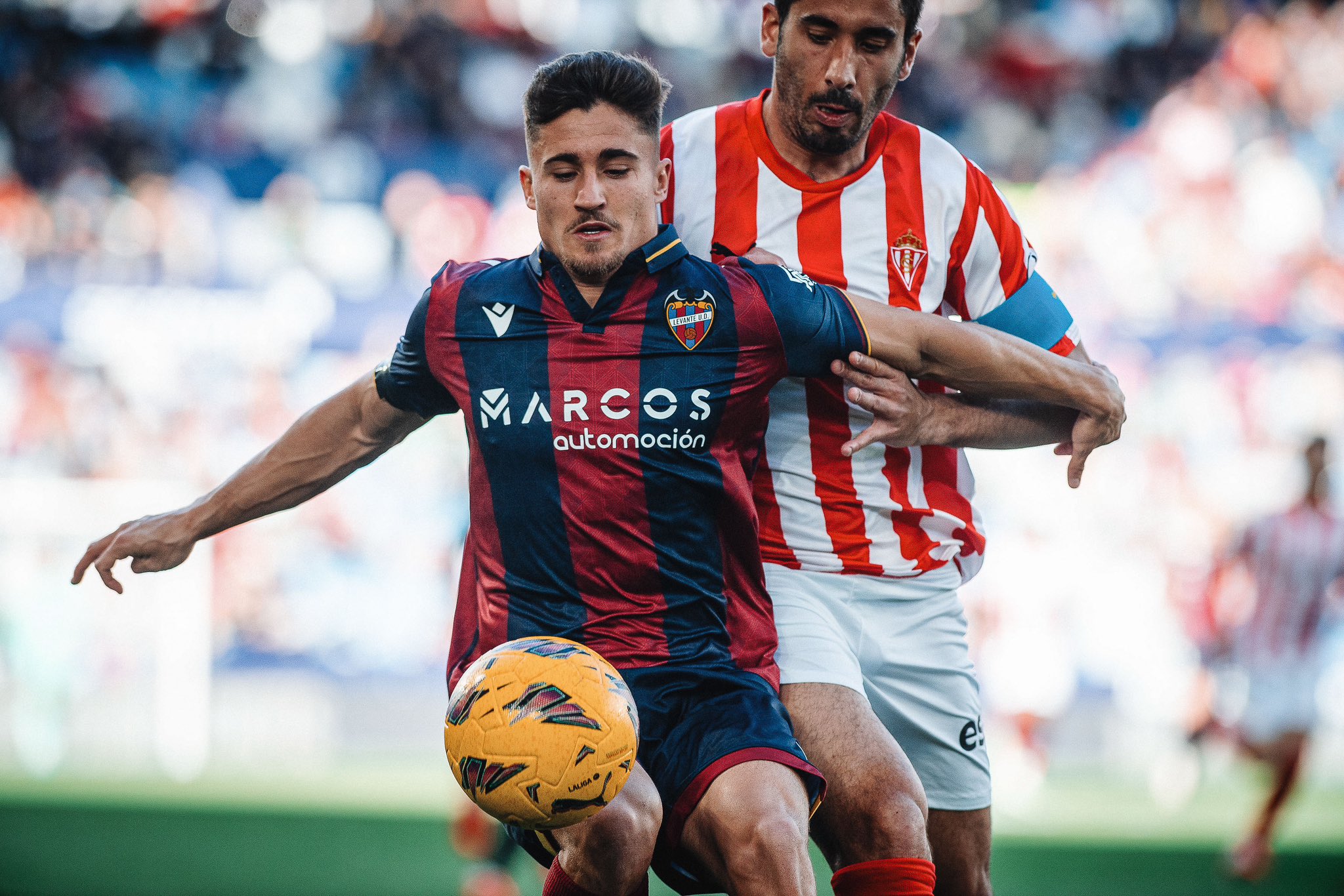 Levante