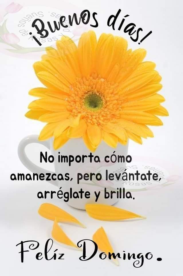 Feliz domingo