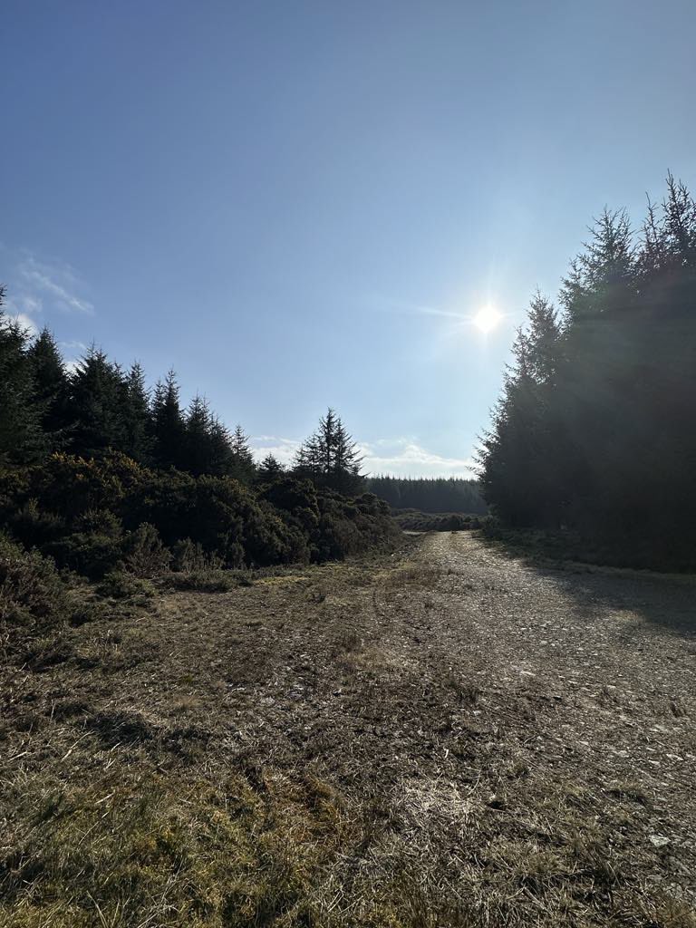 Argyll and Bute Registrars tweet media