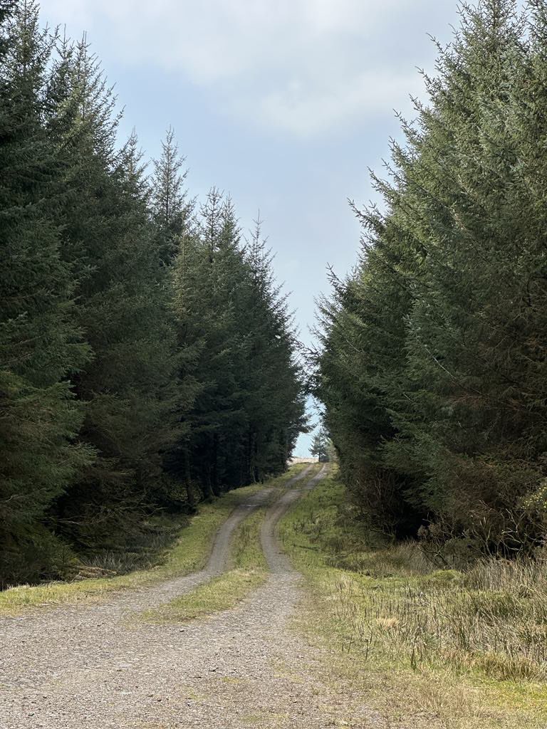 Argyll and Bute Registrars tweet media