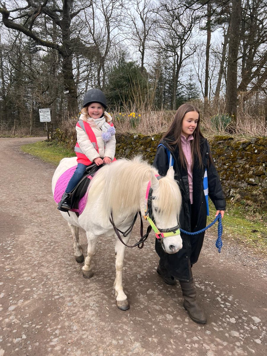 DARRENCOWIE7's tweet image. Loved her pony ride yesterday @TheUnseelieGirl 
#pony #denny #welsfield