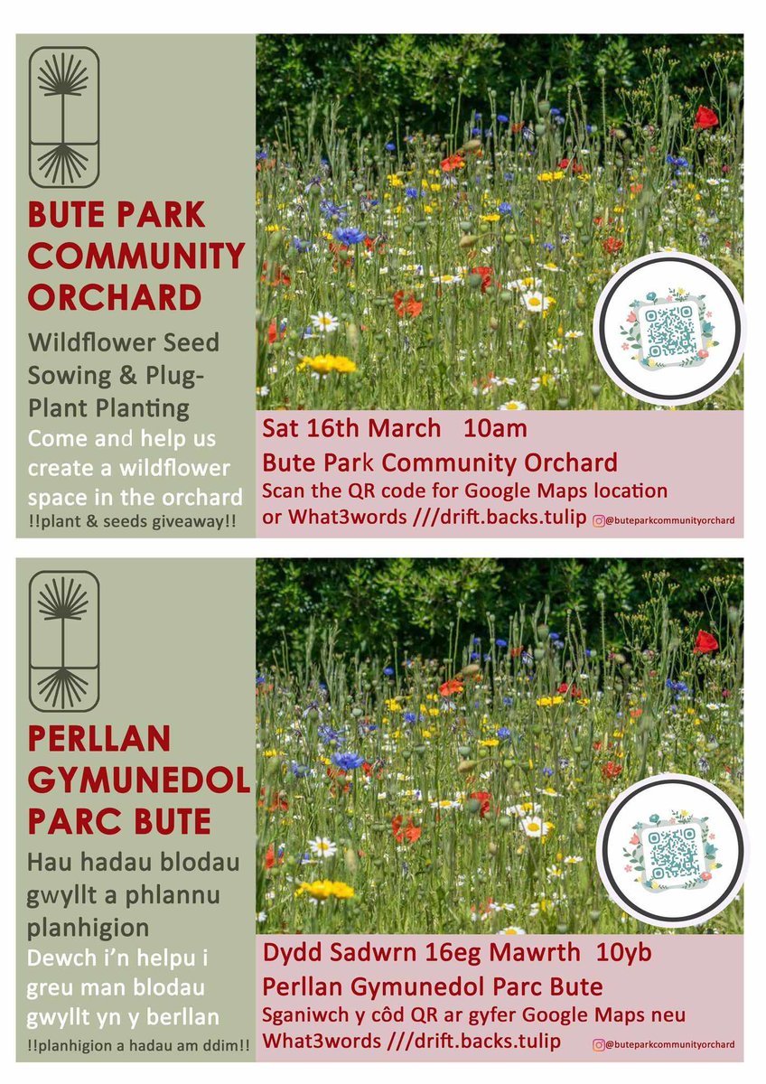 Help us to create a wildflower space in the orchard on Saturday 16th March at 10am. Join us to help sow some seeds and do some plug planting, plus we'll be giving away some seeds and plants. Join us! #Cardiff #communityorchard #butepark