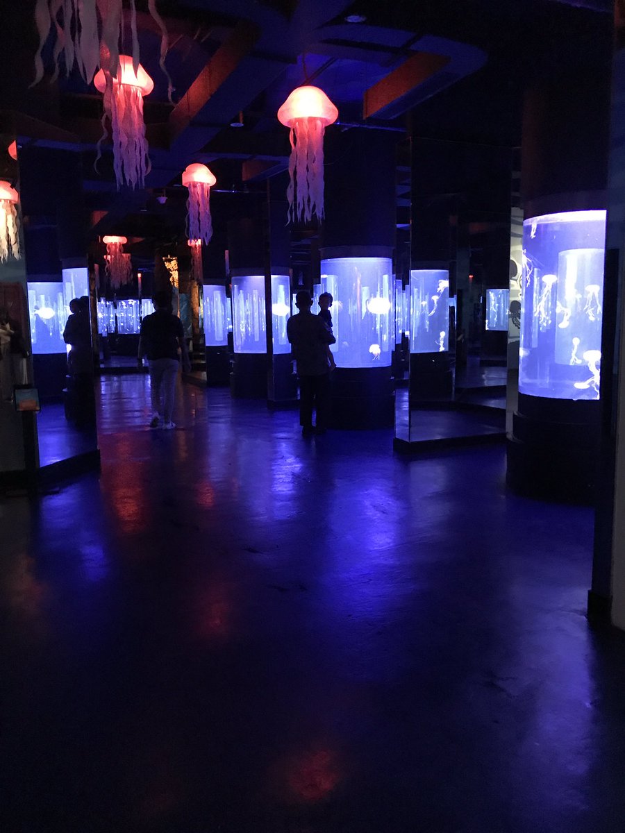 windyrizqia's tweet photo. @convomf BXSea ada interactive wall di Kelana Kaia (video no 2) ✨ https://t.co/YmC2RmEEAZ