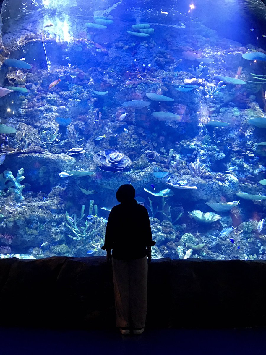 windyrizqia's tweet photo. @convomf BXSea ada interactive wall di Kelana Kaia (video no 2) ✨ https://t.co/YmC2RmEEAZ