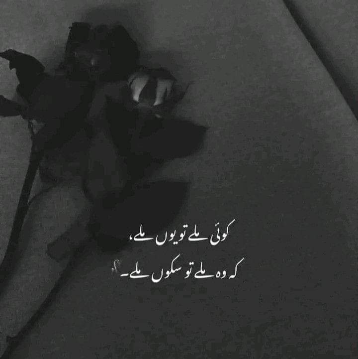 💕🍂🥀

##اردو_شاعری 
#ツイステ #FestivaldaCancao #Oscar