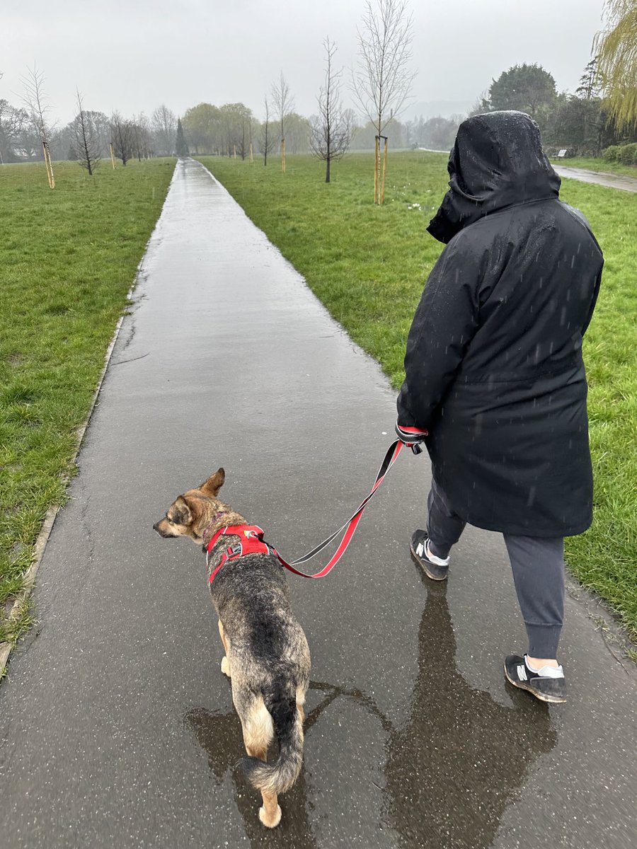 Rory Cellan-Jones tweet media