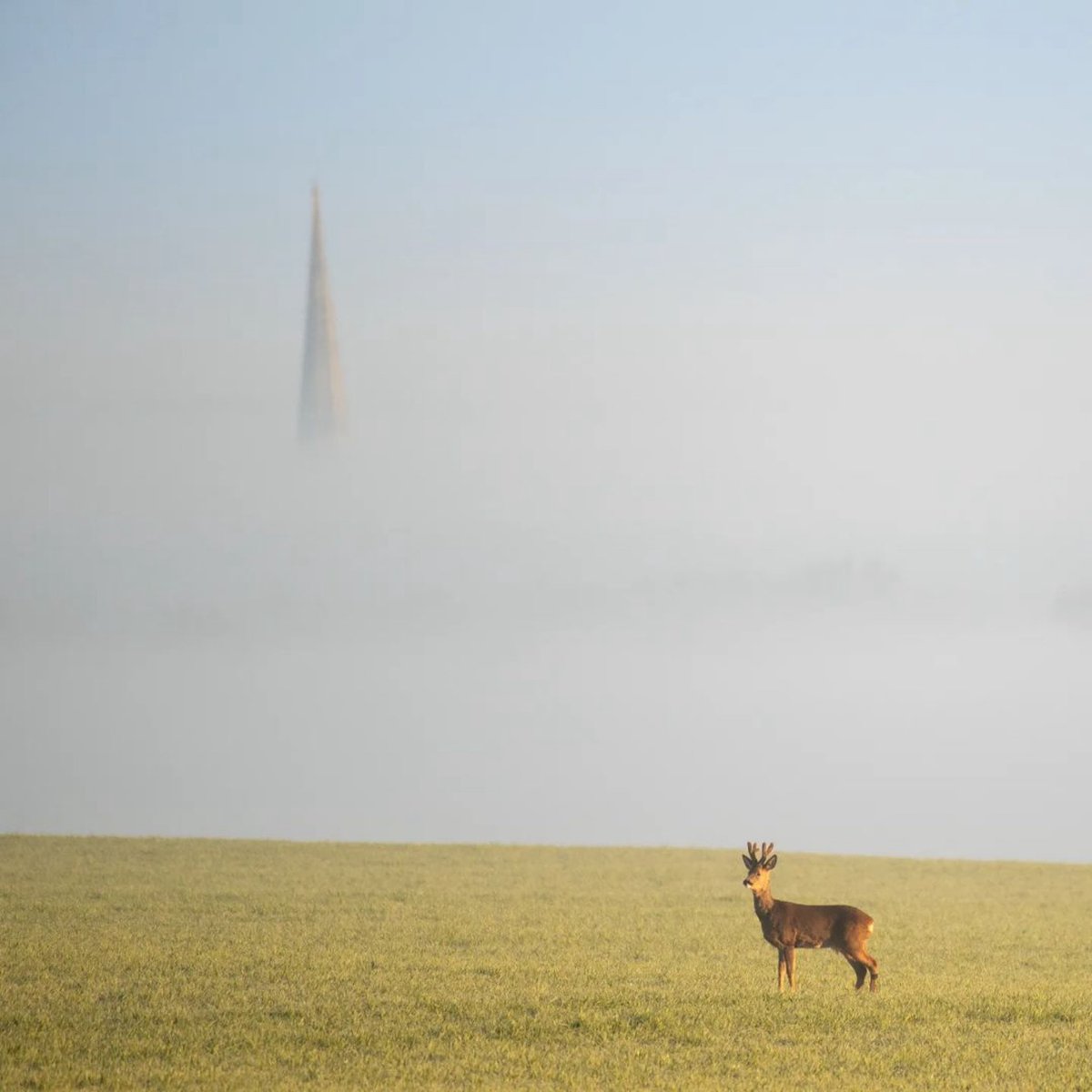 English Cathedrals tweet media