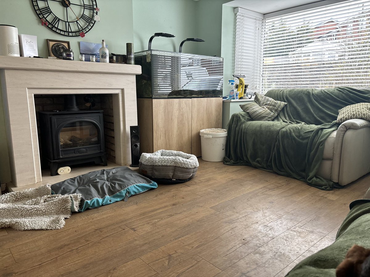 Sitting on the couch next to Hoodad while my sis, #talia_thewelsht, hides…