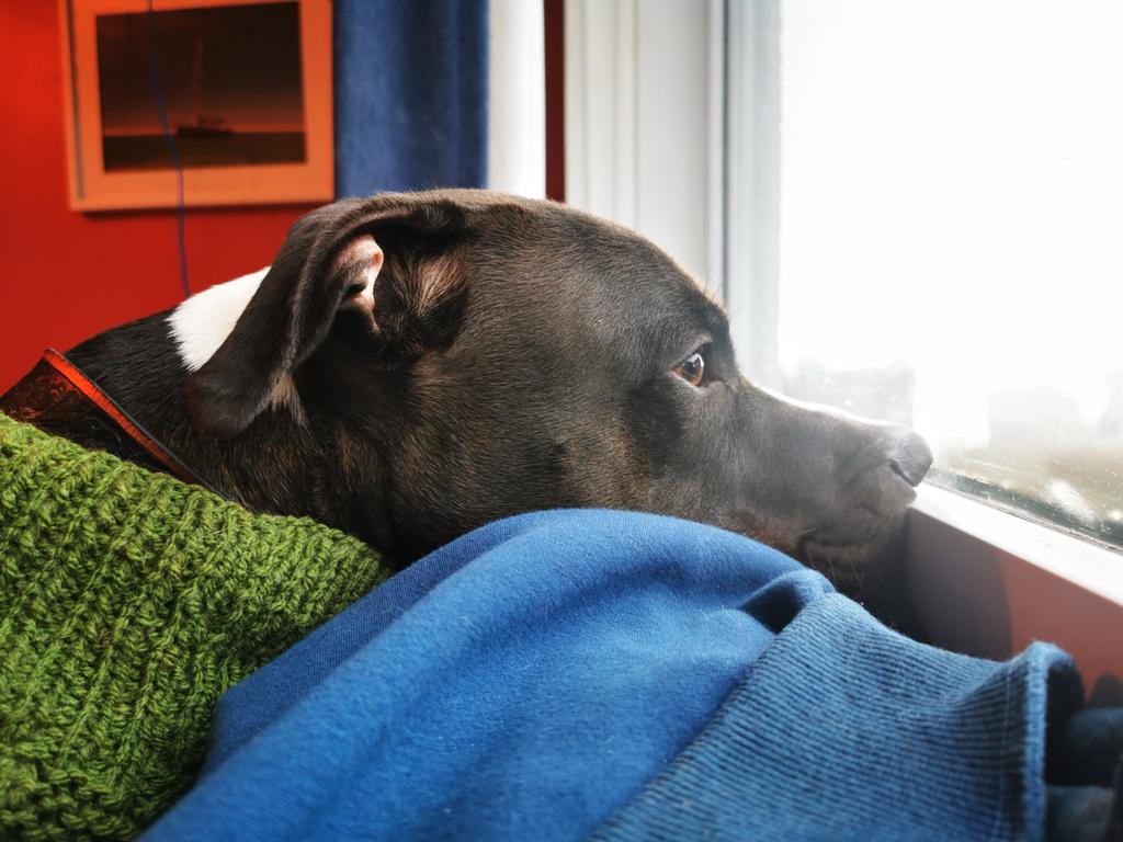 Charlie Lucas - Cornish_Valkyrie / little wave tweet media