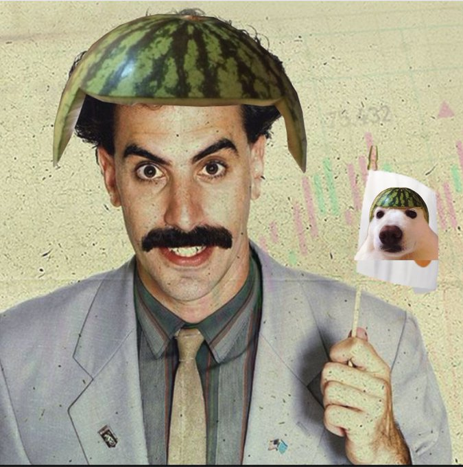 Arcus_alpha's tweet image. So just for fun I aped $MELON

I guess that makes me a #Melonhead

#MemeCoinSeason