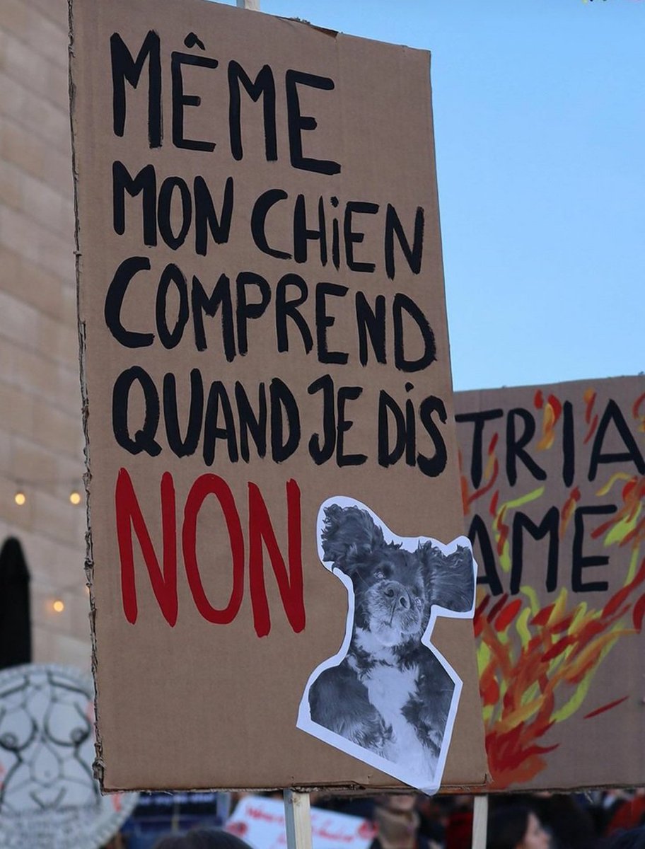 #8mars2024 , manif féministe 

Bruxelles.

Photo : LesGrenades