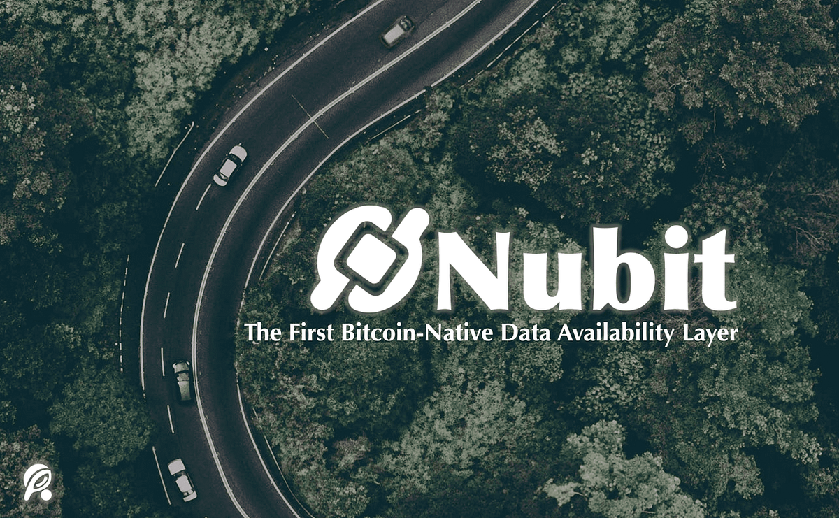 PawelSynapse's tweet photo. 🚀Tech Innovation: @Nubit_org, in collaboration with #BRC20 creator @DomoData, has introduced a 'Modular Indexer' for #Bitcoin. This cutting-edge technology aims to enhance the scalability and efficiency of Bitcoin transactions. #BlockchainTechnology #NubitOrg #DomoData https://t.co/1tukcRZsAH