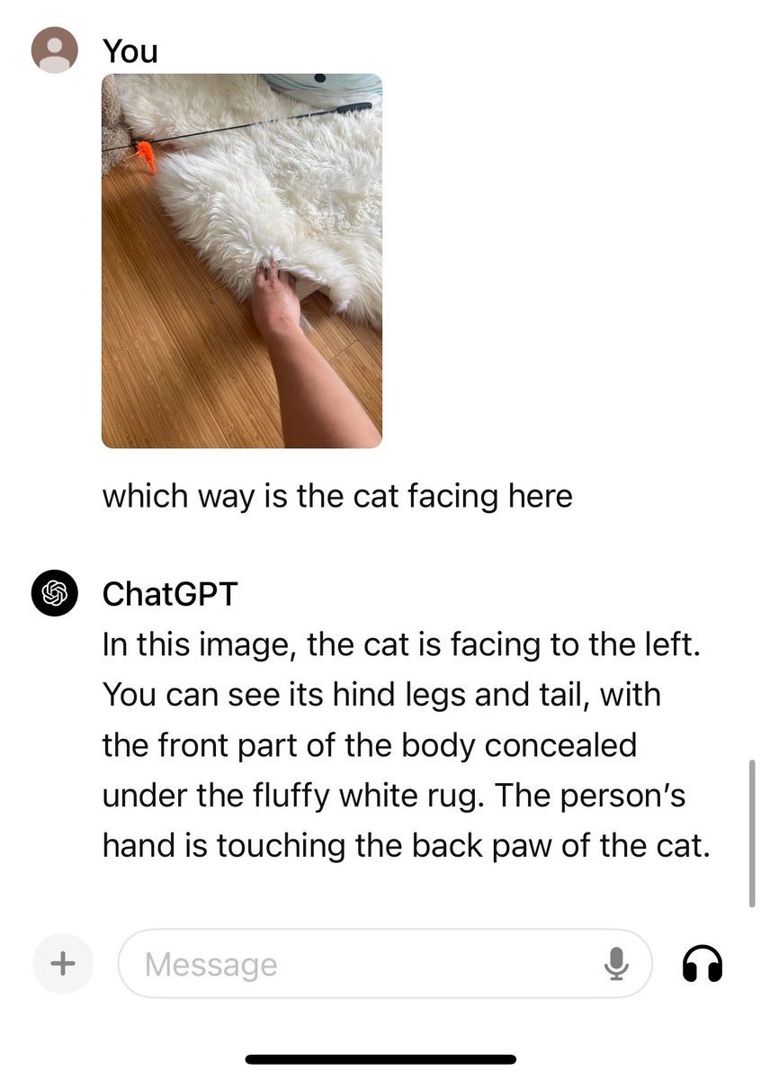 poofytoo's tweet photo. okok new concept for captchas. take that, chatgpt https://t.co/Tbzk1fagBI