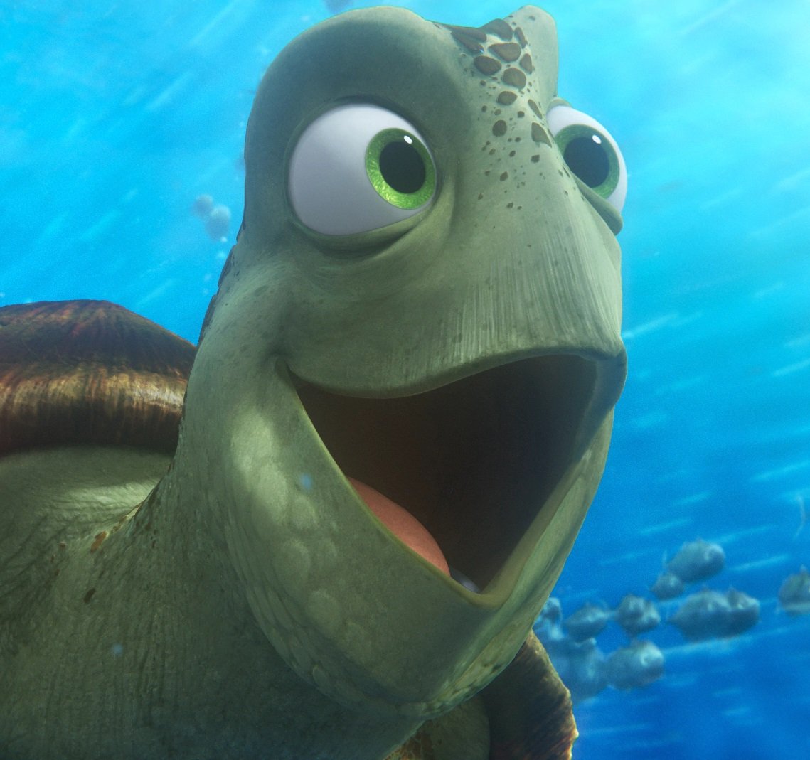 Guy looks like the turtle drop Finding Nemo