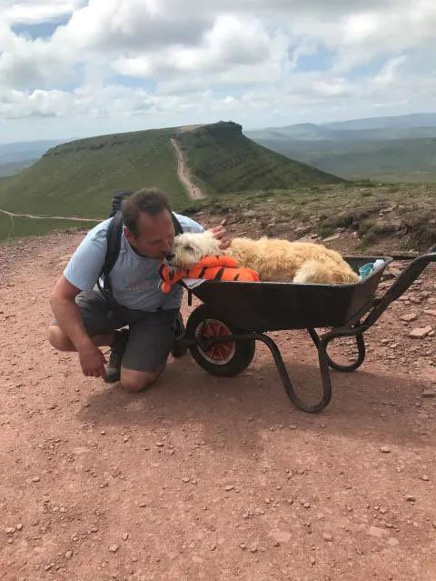 DramaAlert's tweet photo. Man gives dog one final adventure by pushing him in a wheelbarrow.😢 https://t.co/JHNarJxujD