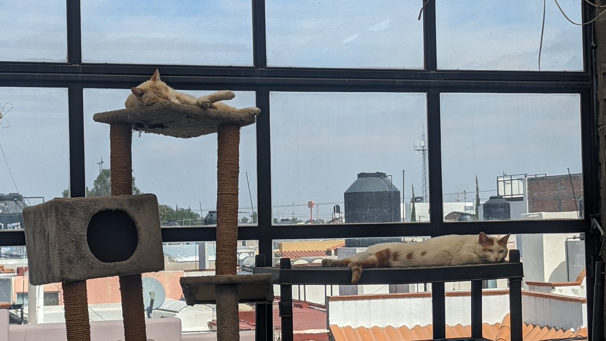 ekaeth's tweet image. Sunday-funday